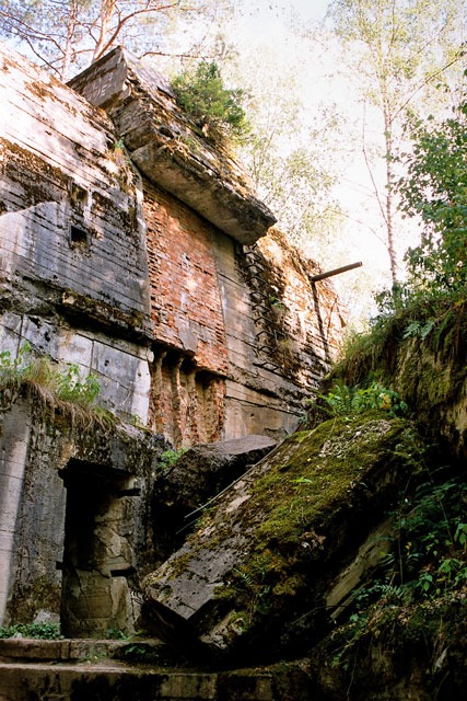 Guarida del lobo